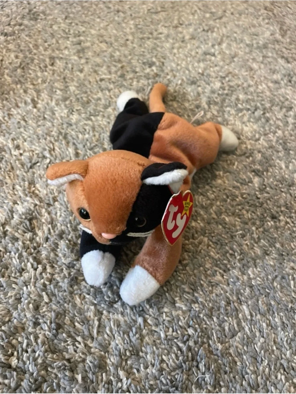 Ty Beanie Babies Collection